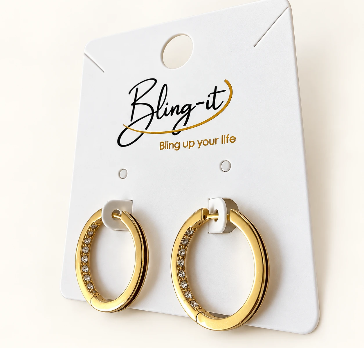 Earring with Black Edge and Zirconia